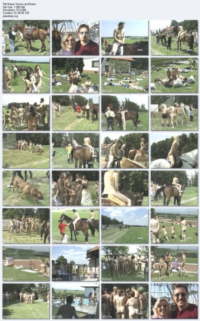 Fkk video - horses and bares [FKK-Community]